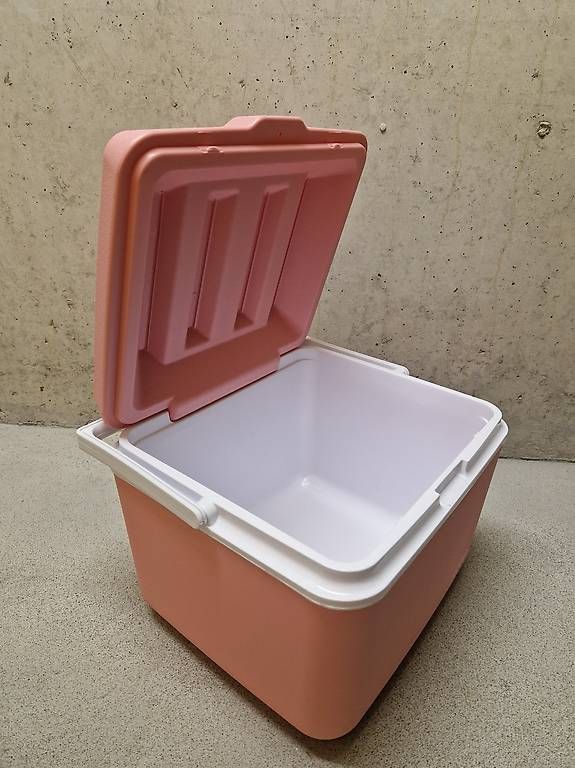 Frigoriferi & Refrigeratori: Kühlbox pink, 25l – Usato da Kehrsatz venduto da McYuli 1