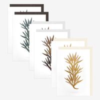 Grusskarten Set “Pinien-Zweig Edition”