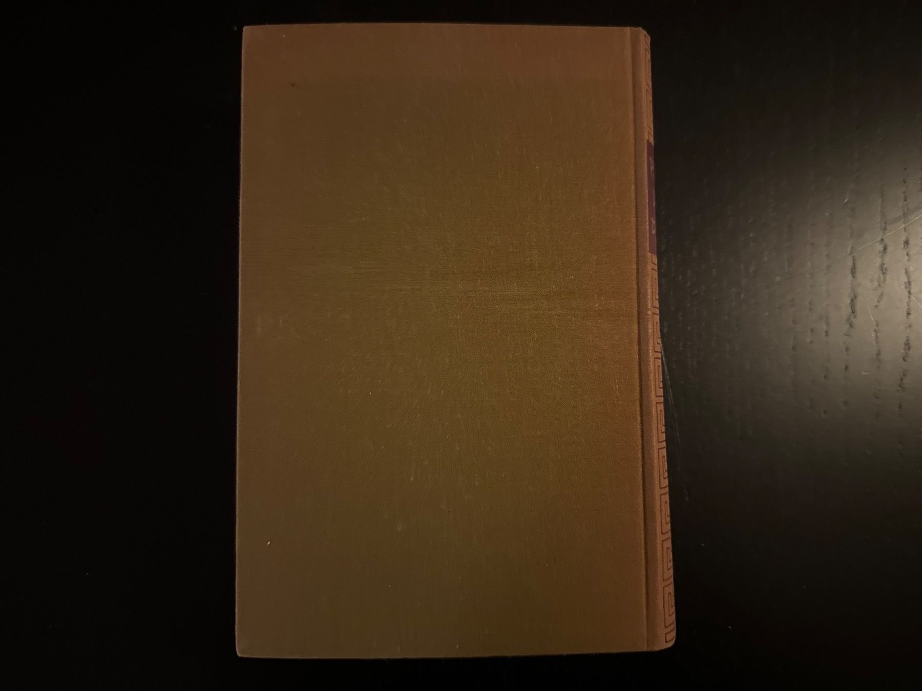 Libri: Das Haus der Erde – Usato da Erstfeld venduto da Mario_boe0 5