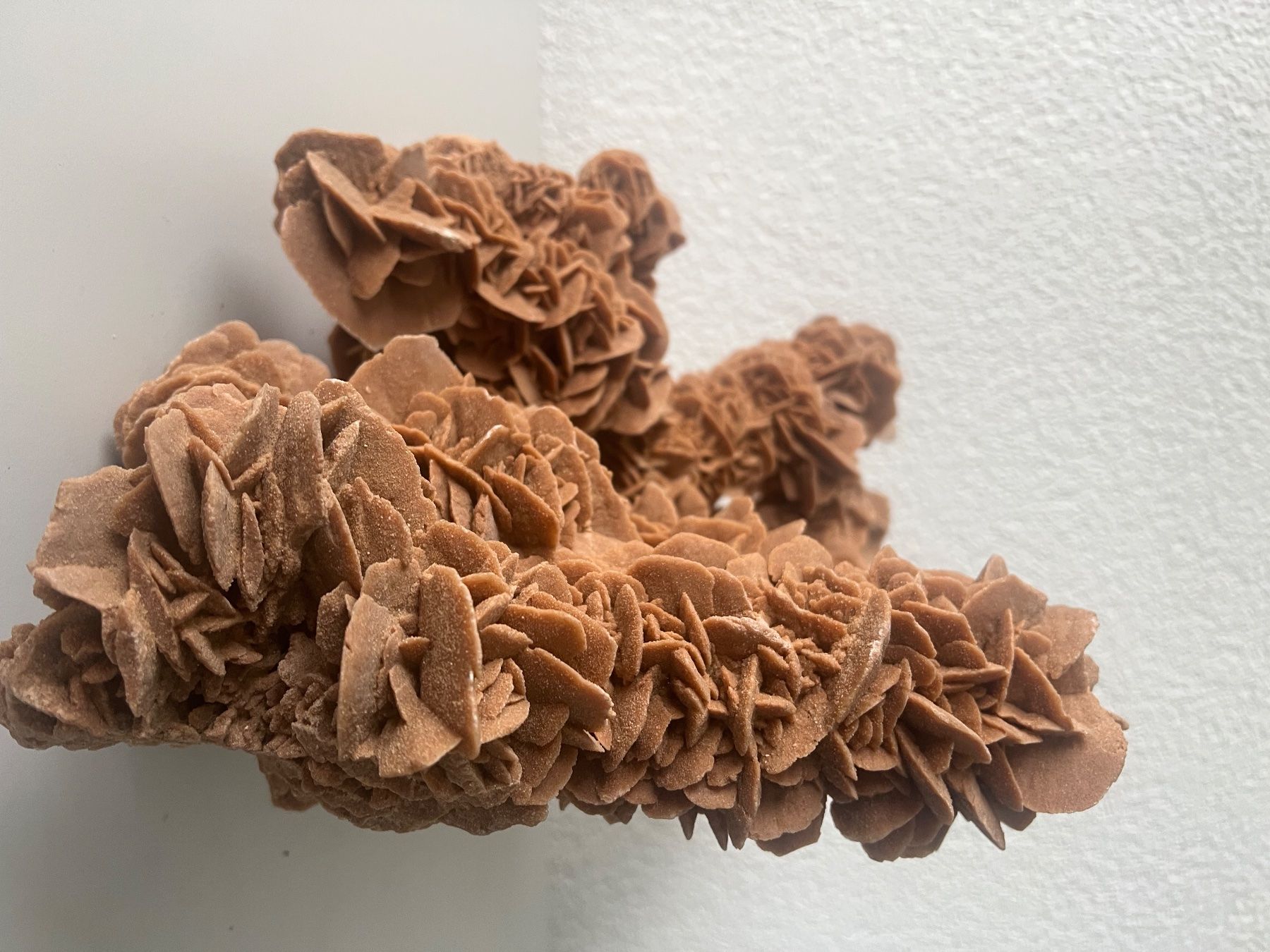 Minéraux & Lithothérapie: Sandrose – Neuf avec emballage d'origine à Wohlen AG par jan_v7tf 2