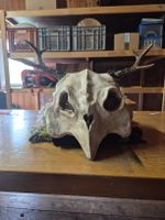 Fasnachtsmaske Waldgeist (ca. 40 Stück