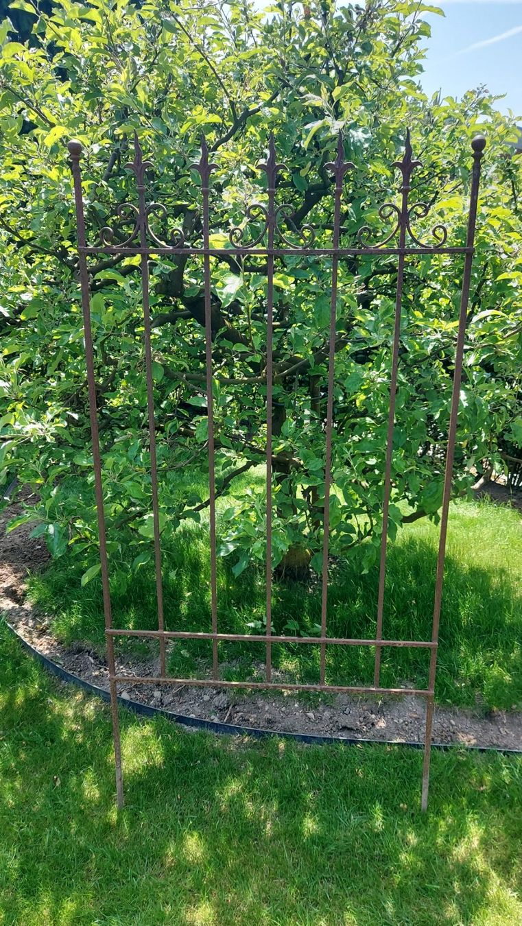 Altre Decorazioni per giardino: Zaun aus Eisen - Kletterhilfe – Usato da Küssnacht am Rigi venduto da Mukare 1