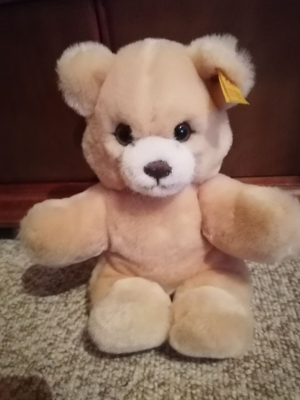 Steiff Jouets: Steiff Bär Kiddi – D'occasion à Biberist par troedlerheinz