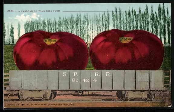 Cartoline postali: Optische Täuschung mit gigantischen Fle – Usato da Berlin venduto da bartko-reher