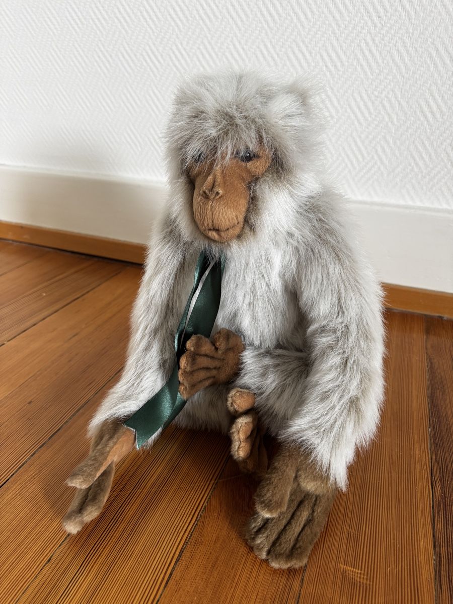 Giocattoli: Affe Plüschtier – Usato da Zürich venduto da Leined