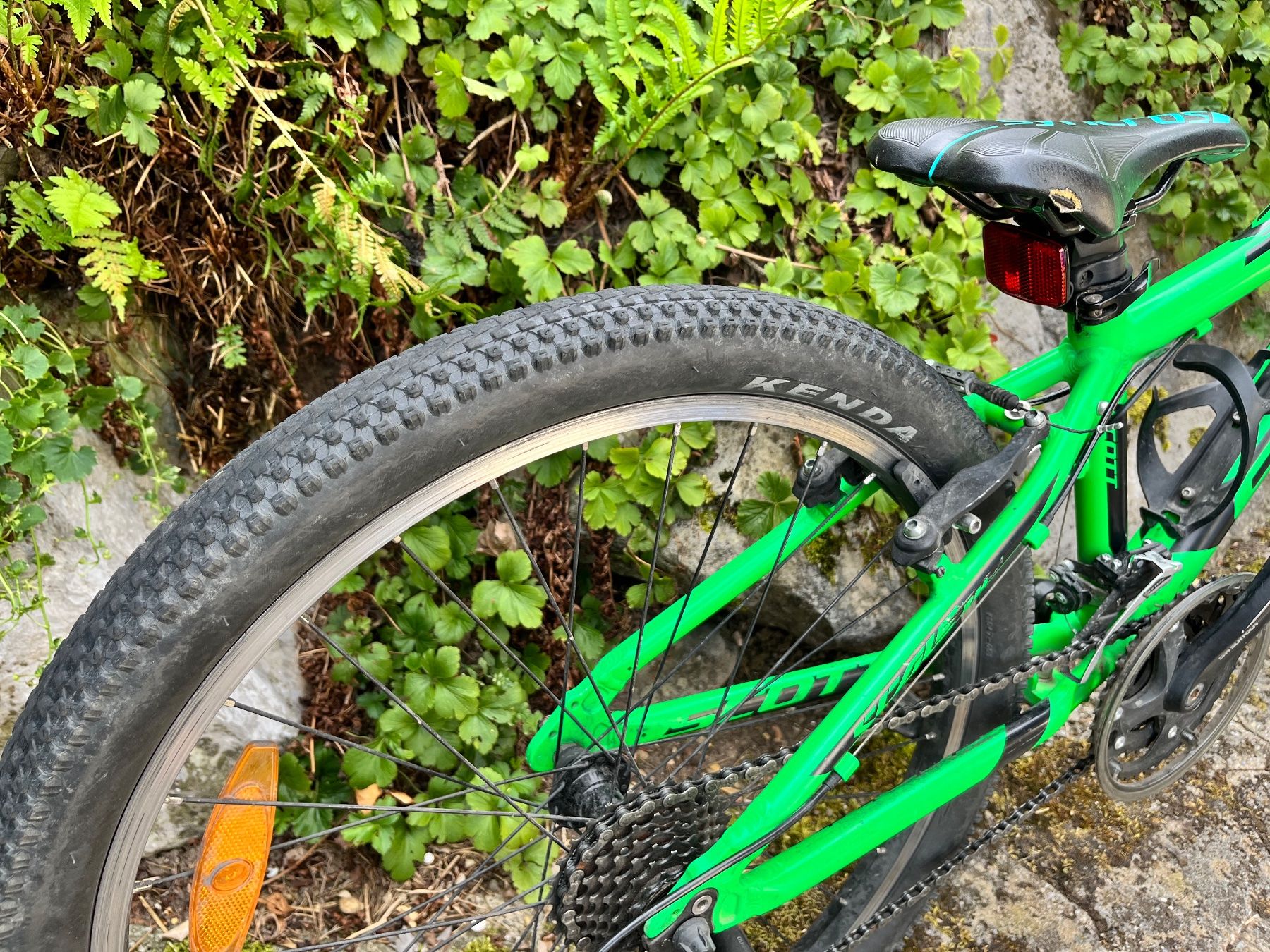 Scott Biciclette: SCOTT Kinderfahrrad JR24 grün – Usato da Hittnau venduto da est_cc2q 1