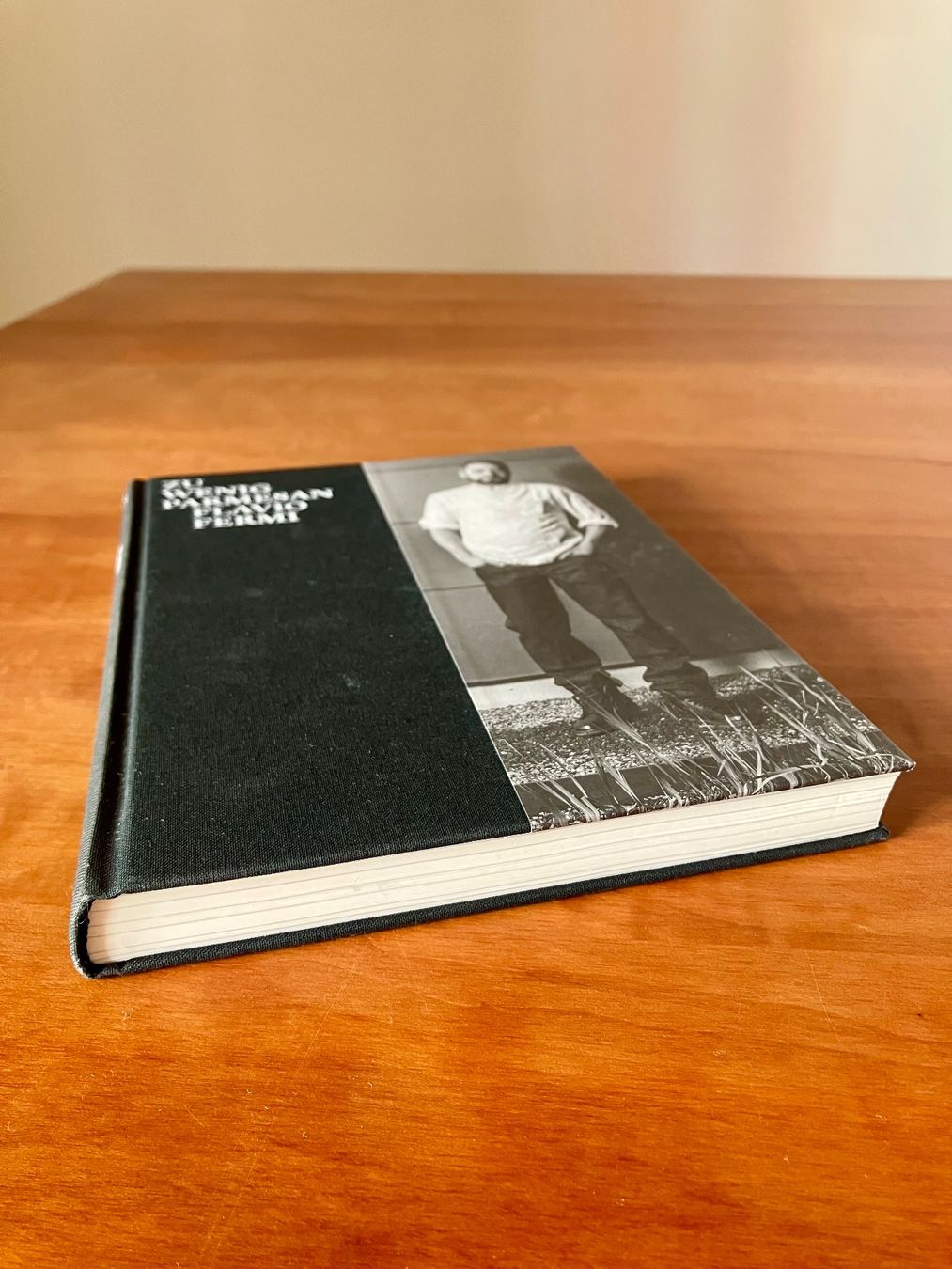 Libri: Zu wenig Parmesan - Flavio Fermi – Usato da Zürich venduto da mou_j96c 5
