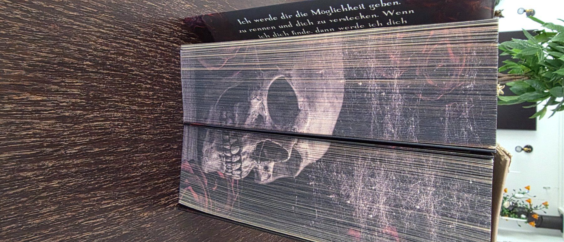 Libri: Haunting Adeline Band 1 DE Dark Romance – Nuovo (secondo la descrizione) da Ellikon an der Thur venduto da Ribbeli 6