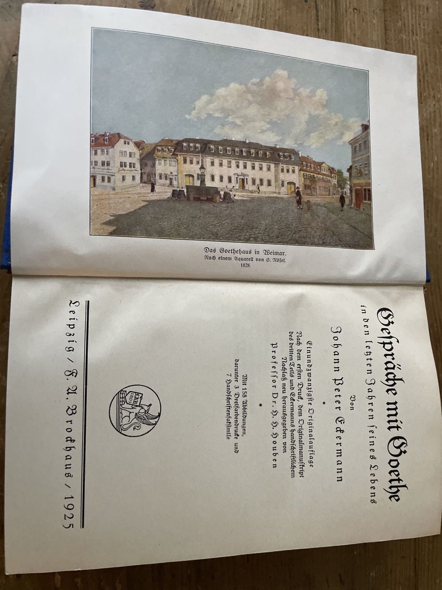 Libri: Johann Peter Eckermann - Gespräche mit Goethe, 1925 – Usato da Winterthur venduto da cheerio97 2