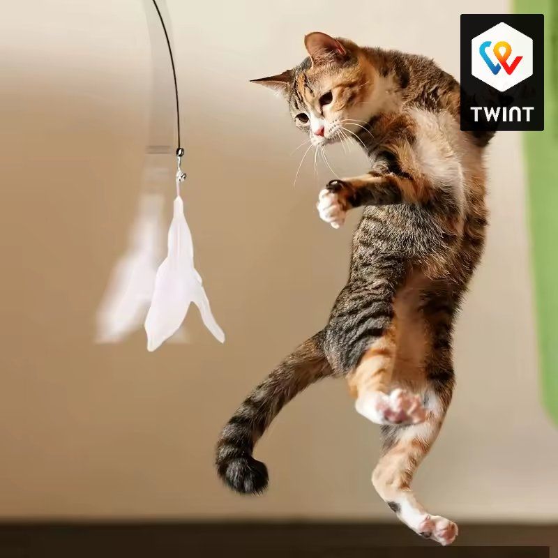 Giocattoli: Jouet pour chat – Nuovo e nell'imballaggio originale da Saignelégier venduto da novamarket 5