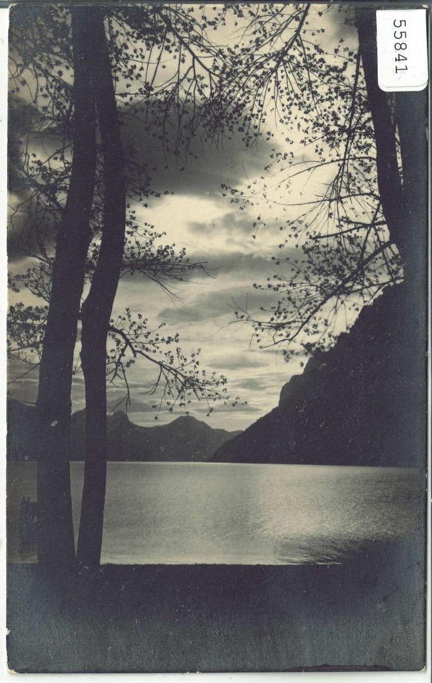Cartes postales: Am Wallensee – D'occasion à Ettingen par Kartenplanet