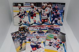 2025/26 Sportzoo National League Series 1 ZSC Lions