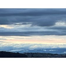 Profile image of RICARDOS02