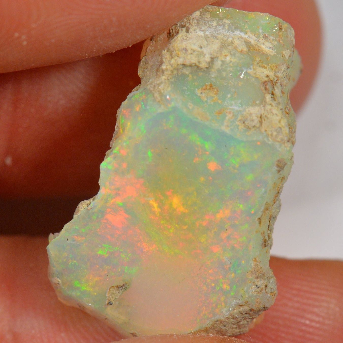 Pietre preziose: 15.8 Karat - Roher Äthiopischer Welo Opal – Nuovo (secondo la descrizione) da Rüti ZH venduto da DeinOpal 3