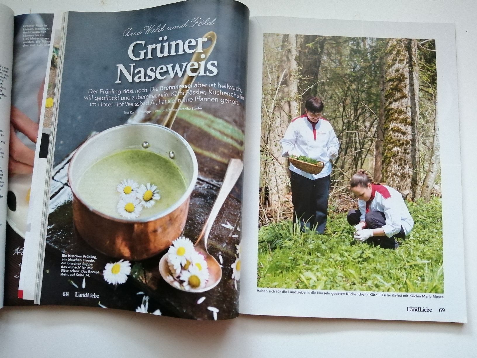 Riviste & Magazine: 2 x LandLiebe Magazine:03/04.2017+2019 – Usato da Honau venduto da holunder3 6