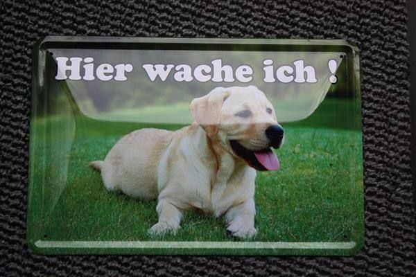 Ecriteaux: Blechschild-GOLDEN RETRIEVER-HIER WACHE ICH – Neuf avec emballage d'origine à Rupperswil par big-one-sale