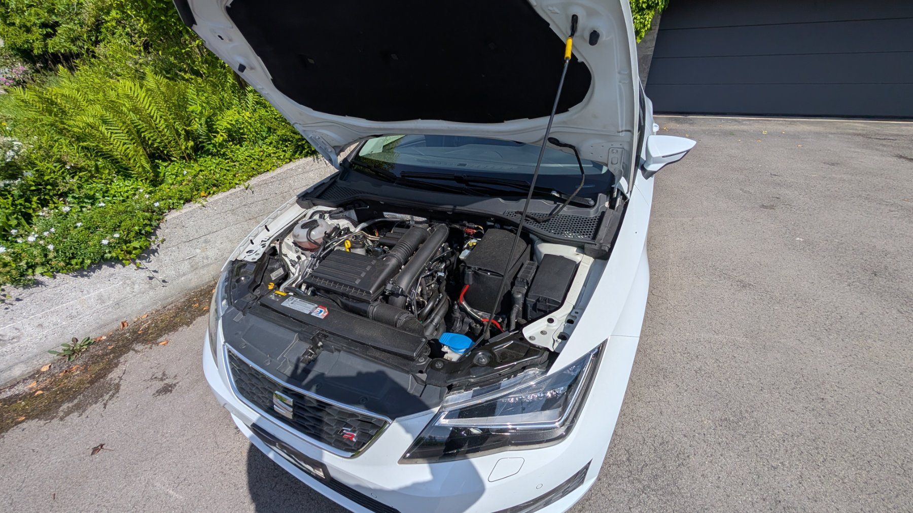 Seat Automobili: SEAT Leon 1.4 TSI - FR – Usato da Lüchingen venduto da fyb59 3