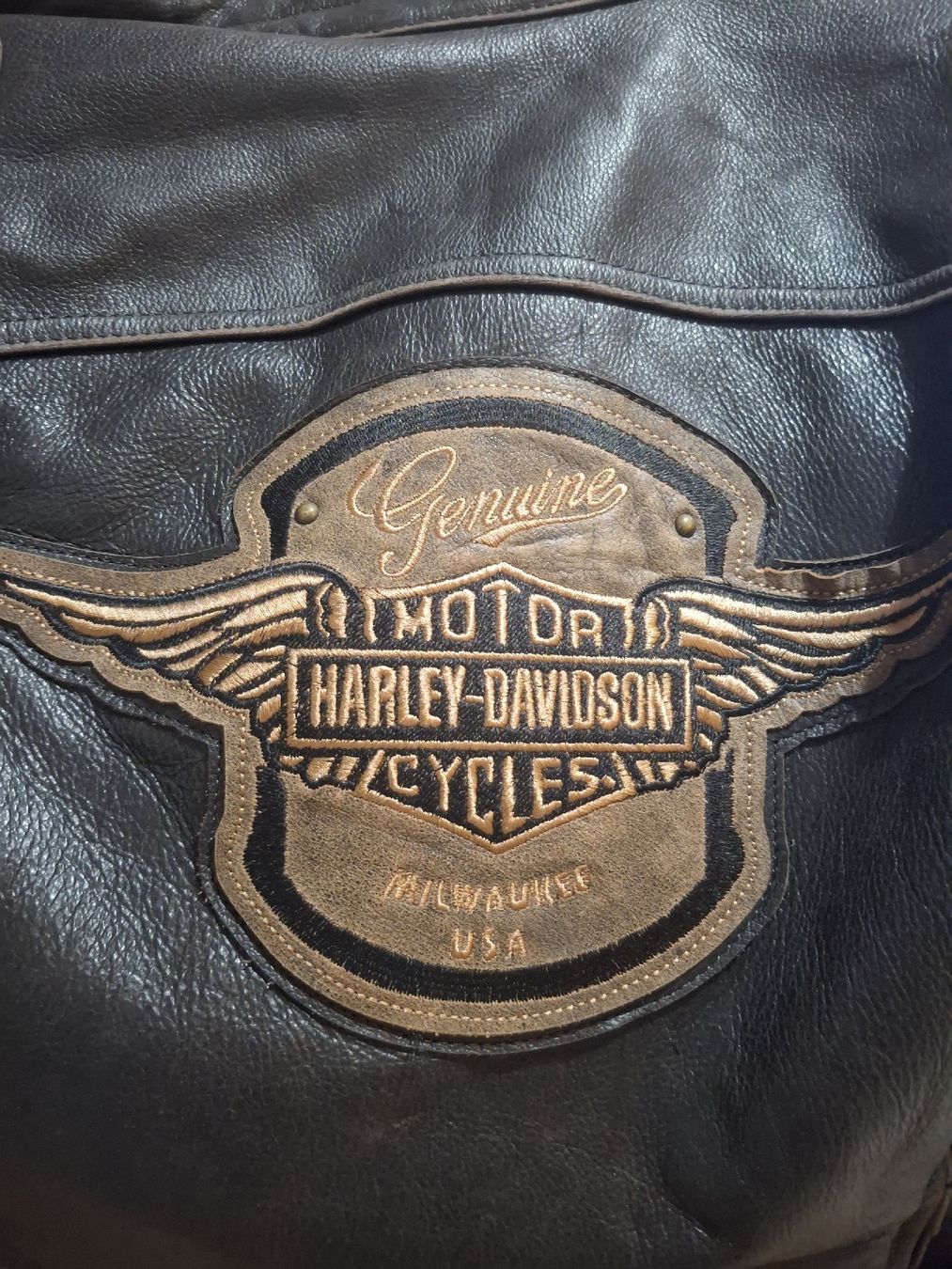 Harley-Davidson Jacken: Giacca pelle Harley Davidson Genuine – Gebraucht aus Agno von Olialby 2