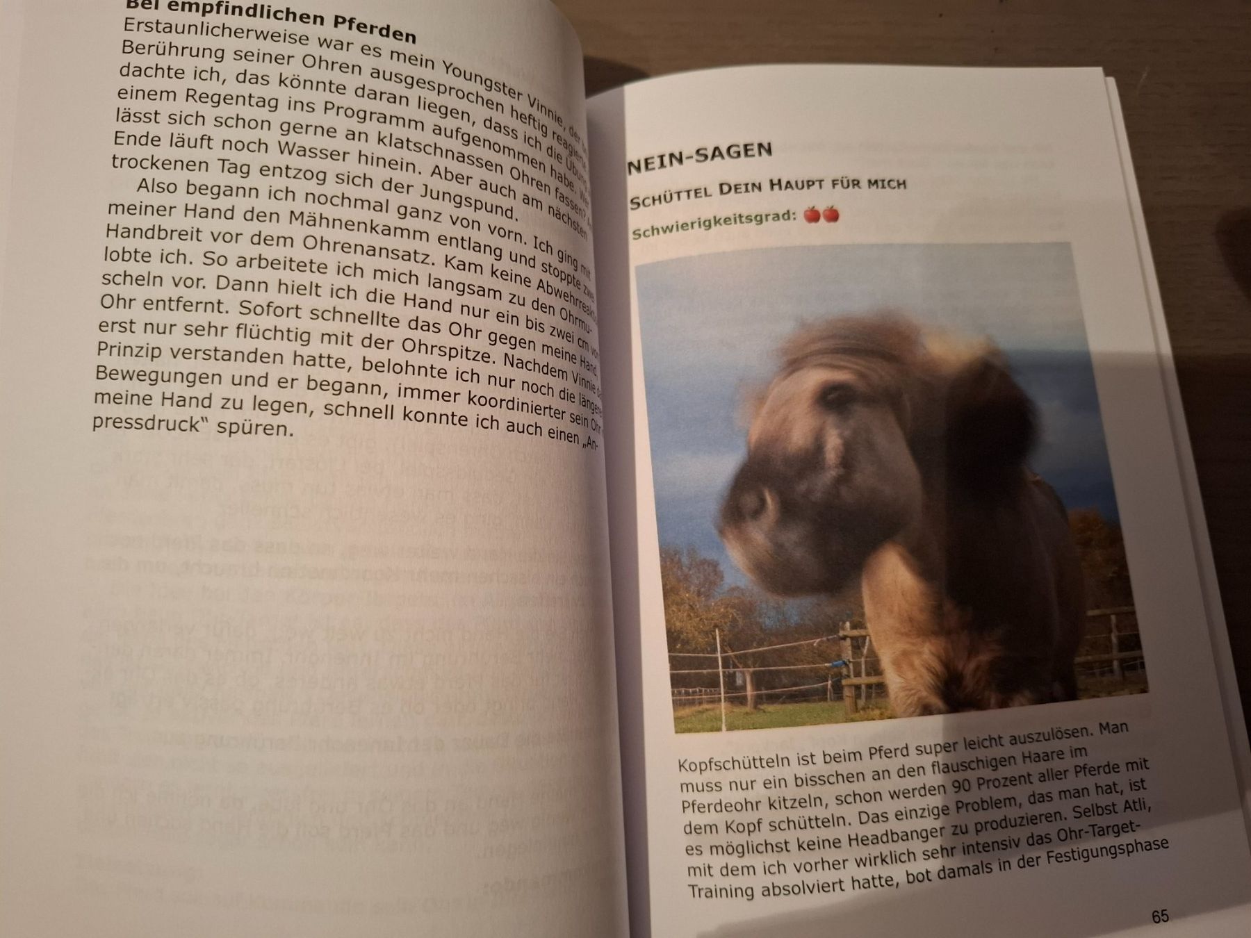 Libri: Trickschule für Pferde – Nuovo (secondo la descrizione) da Eiken venduto da Lashar 2