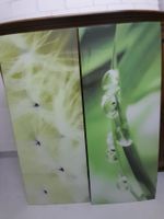Pflanzenbilder