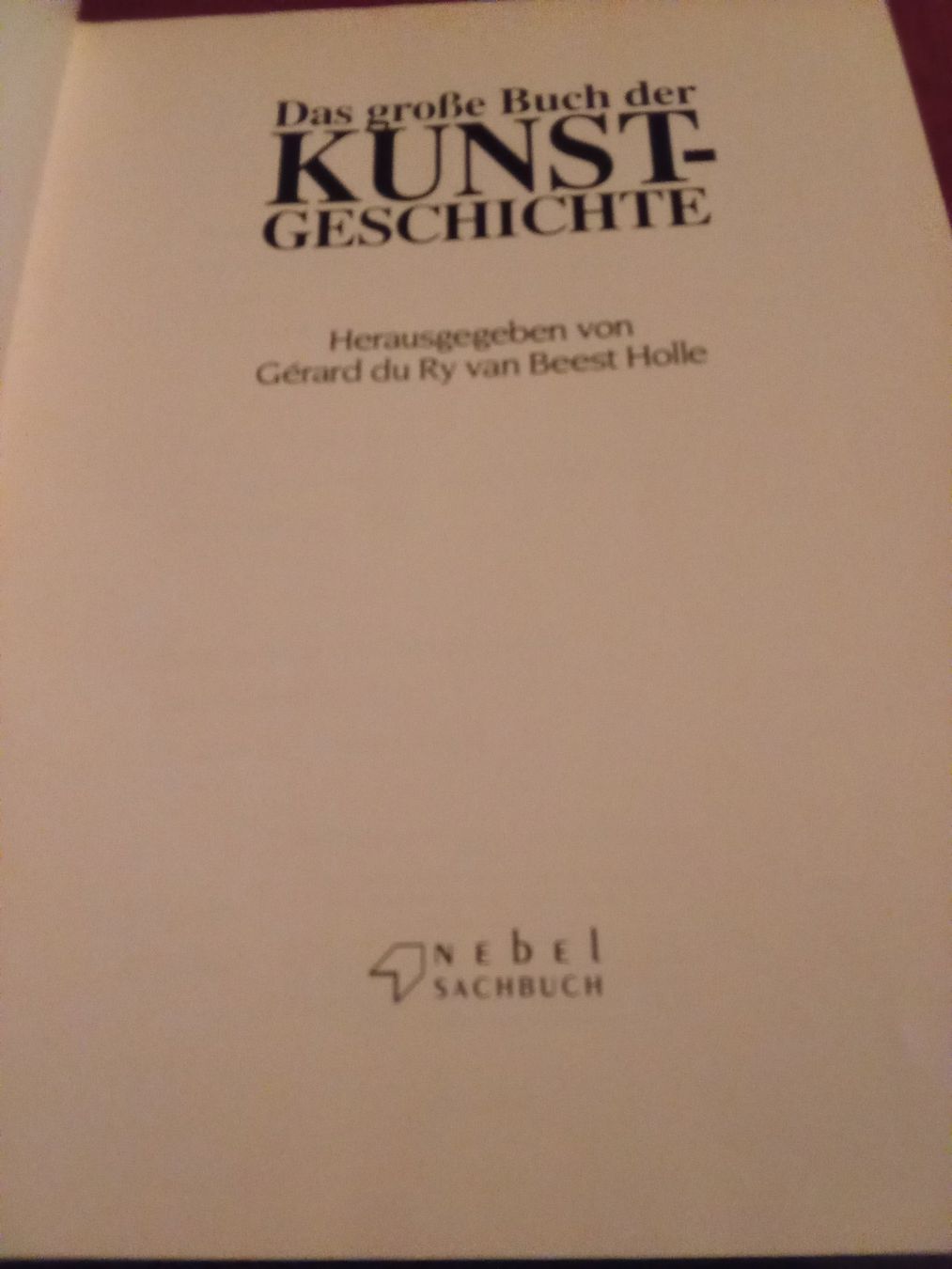 Libri: Holle: Das grosse Buch der Kunstgeschichte – Usato da Remetschwil venduto da Privatflohmi