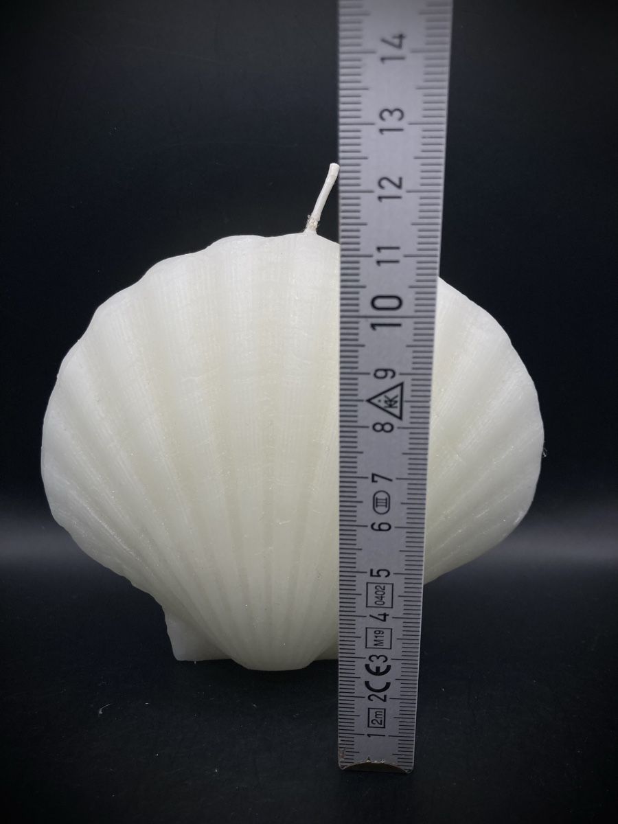 Candele: Kerze Muschel Form weiss, neu – Nuovo (secondo la descrizione) da Vinelz venduto da Viewfinder84 2