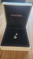 Pandora Lucky Penny Charm