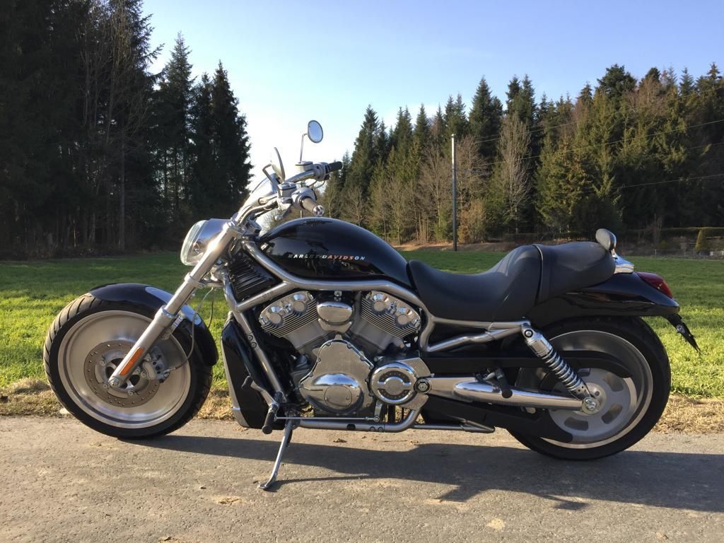Harley-Davidson Chopper: Harley Davidson V-Rod – Usato da Belp venduto da Siruz 1