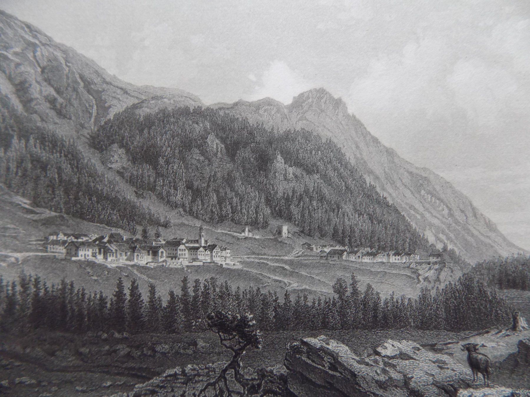 Incisioni: Pontresina Engadin Luxusausgabe – Usato da Risch venduto da Rischli15 3