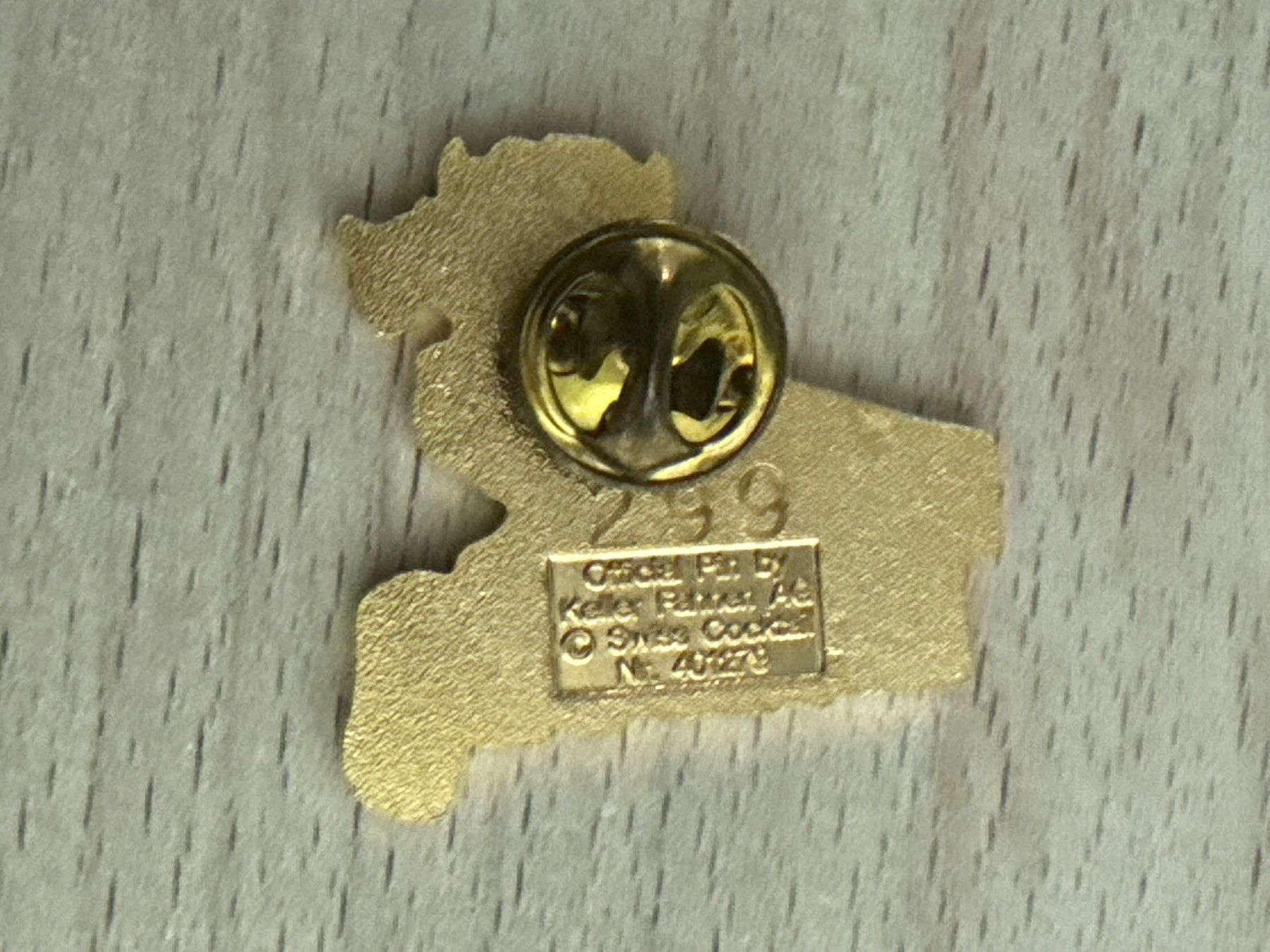 Placchette & Badge: Pin Tuntig – Usato da Glattbrugg venduto da Schweigmatt 1