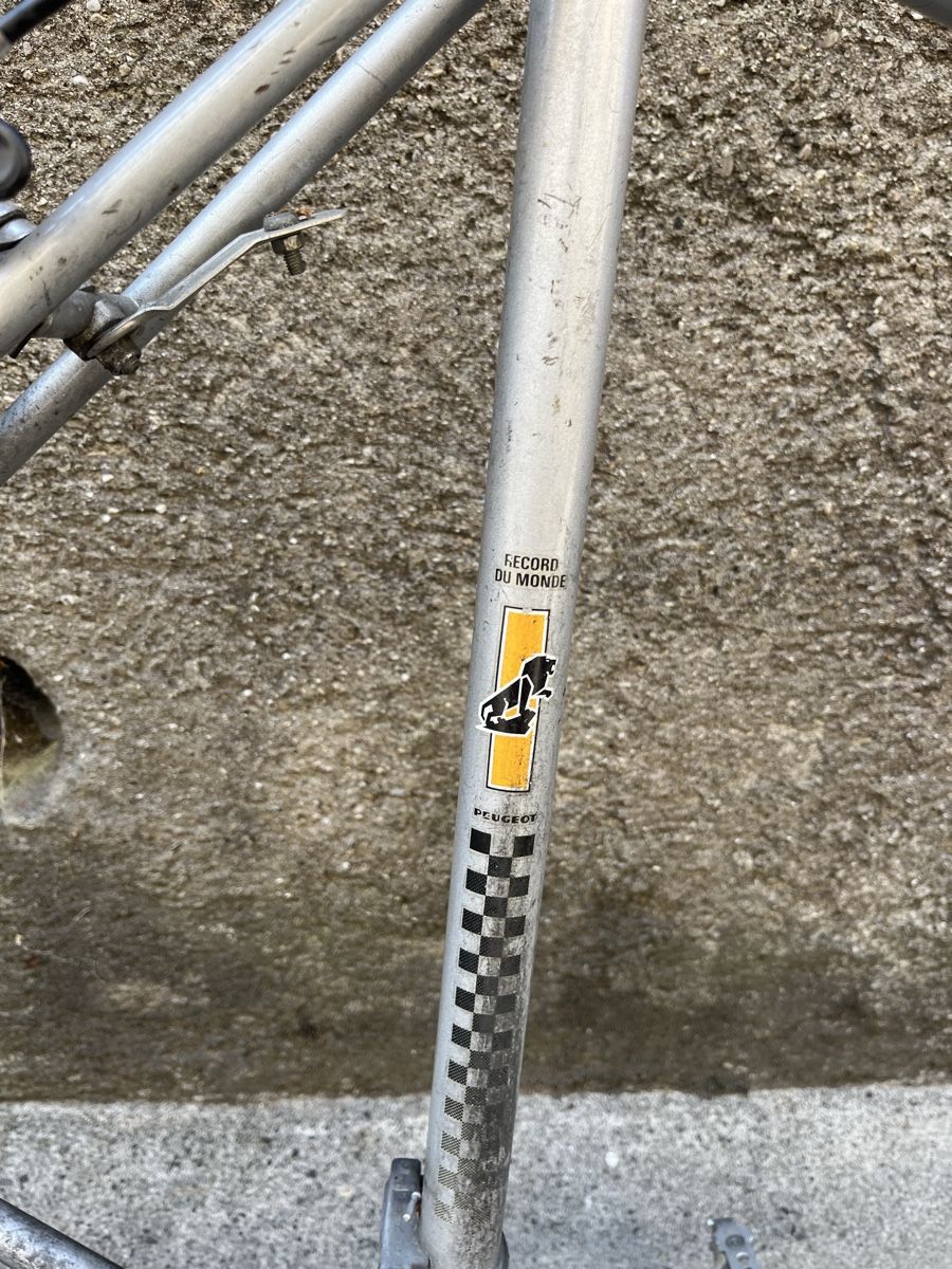 Peugeot Biciclette: Fahrradrahmen Peugeot 103 silber. – Usato da Bern venduto da rah_2lyz 1