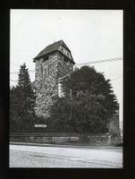 Frauenfeld, Schloss