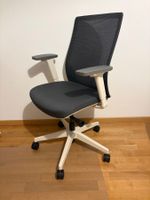 Ergo Office Chair