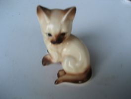 Katze 3