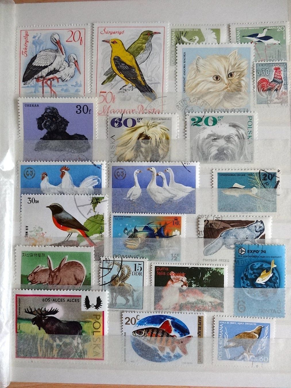 Album: Ganze Briefmarkensammlung – Usato da Scherz venduto da Atopolino 5