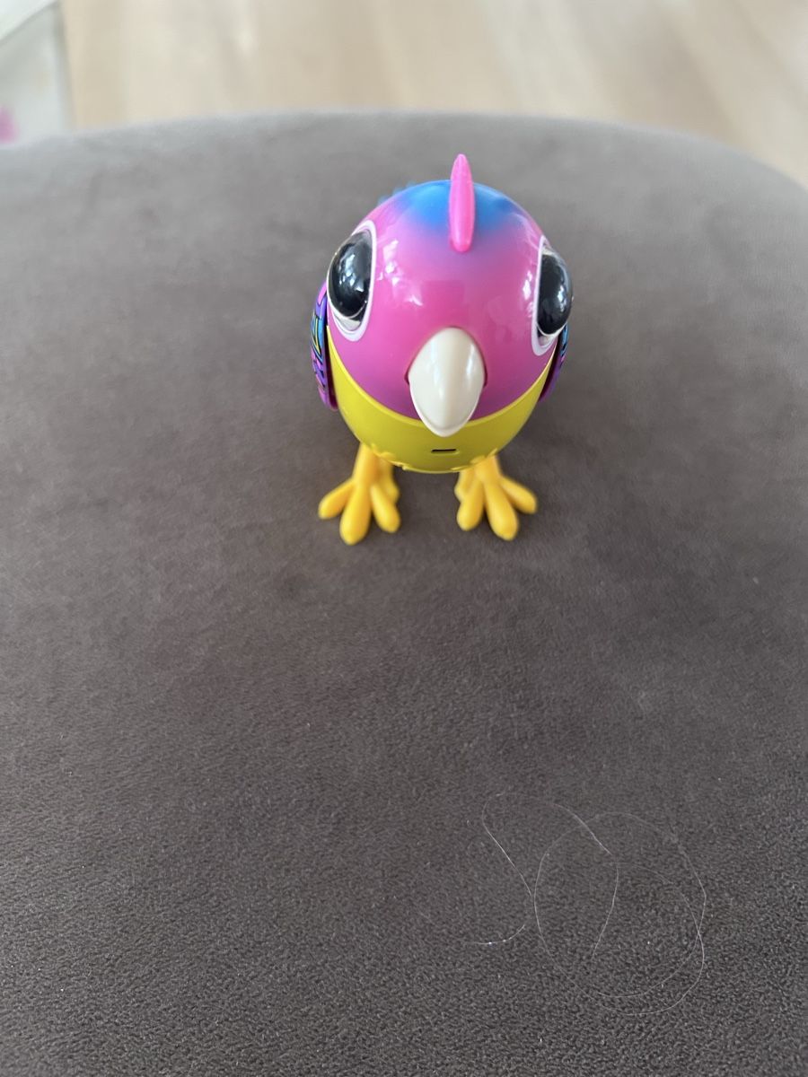 Jouets: Silverlit Digibird – D'occasion à Wetzikon ZH par sheralynn 2