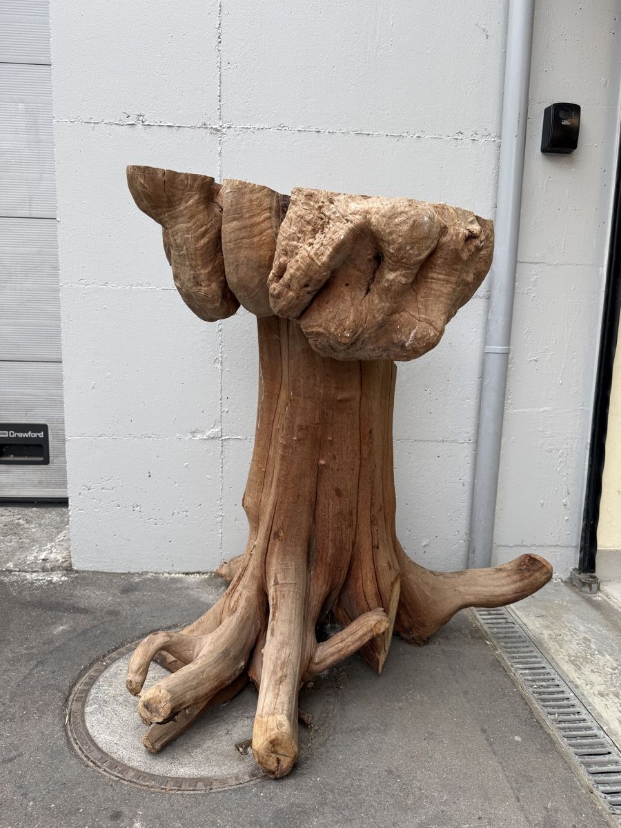 Tables: Baumstamm als Stehtisch – D'occasion à Gossau ZH par jjdrive