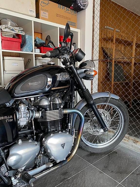 Triumph Strasse: Vendesi moto – Gebraucht aus Canobbio von sus_h98b 2