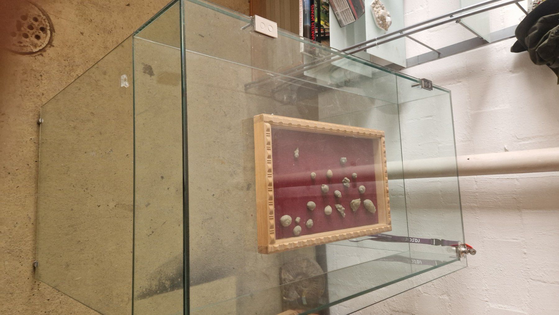 Vetrine: Glasvitrine – Usato da Niederhasli venduto da rehauge01 3