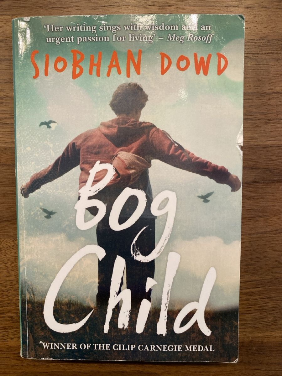 Bücher: Bog Child, Siobhan Dowd – Gebraucht aus Jonen von ._Leonie_.