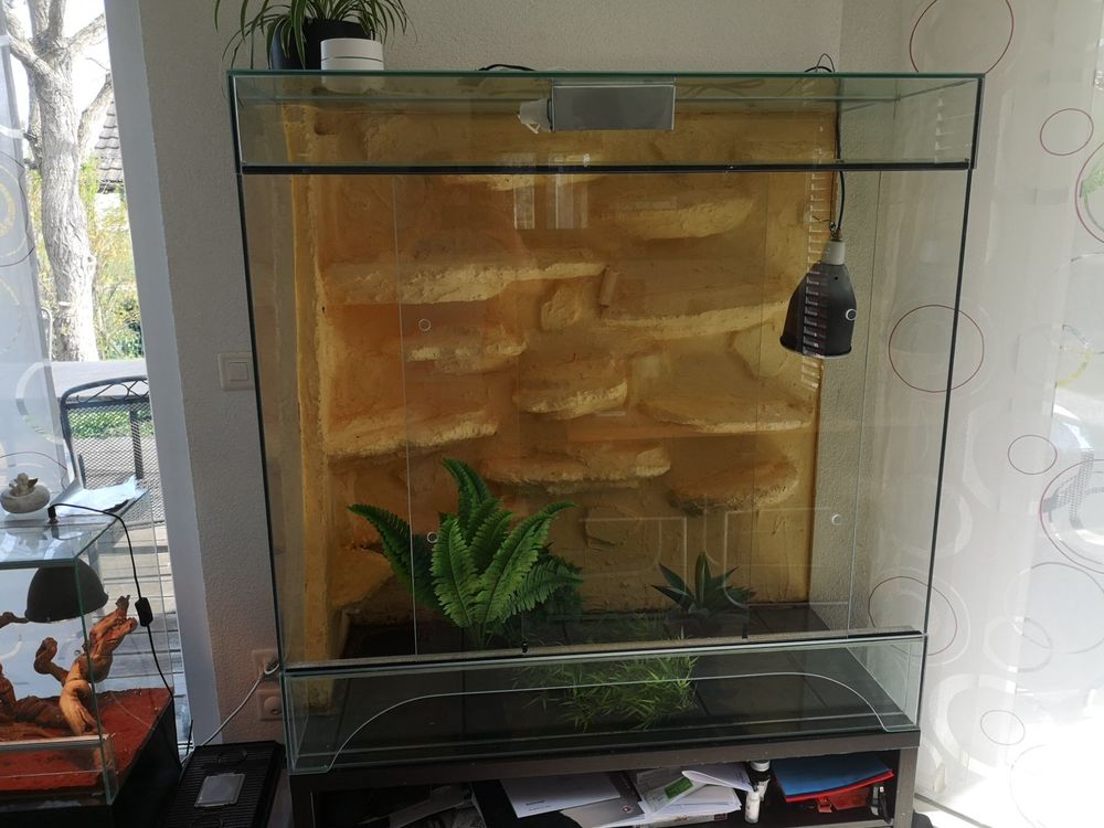 Terrarium für Echsen mit geformter Rückwand Kaufen auf Ricardo
