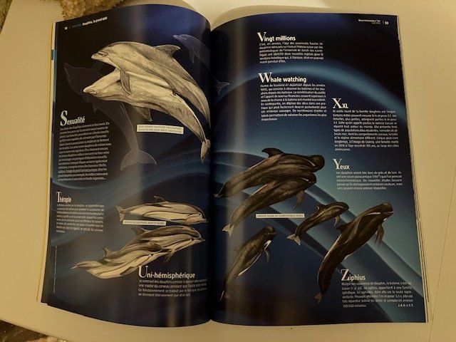 Riviste & Magazine: Revue La Salamandre - les dauphins – Usato da Les Ponts-de-Martel venduto da Jolisa 4