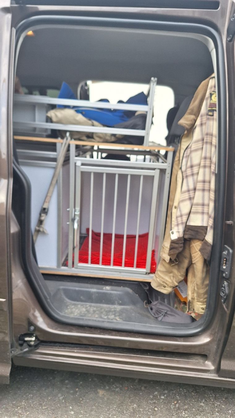 Gabbie, trasporto & Sicurezza: Hunde Transportbox – Usato da Flüeli-Ranft venduto da rolisfahr 1