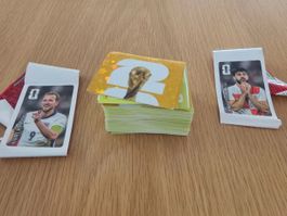 Panini WM2026