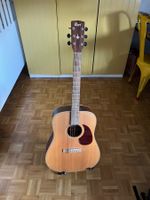 Westergitarre Cort Earth 100, ein Wirbel defekt
