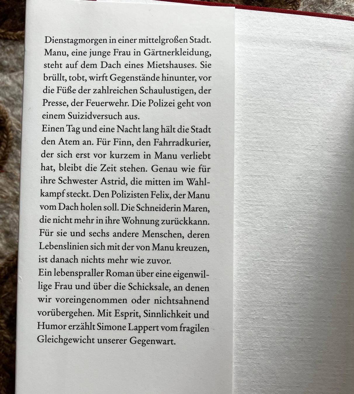 Livres: Simone Lappert: Der Sprung – Neuf (Voir description) à Buchs AG par Allerleis 4