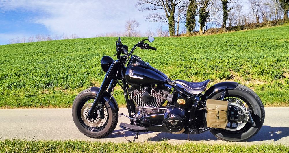 Harley Davidson Softail Slim S Auspuff