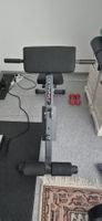 Ab&Back Trainer von Hammer Finnlo
