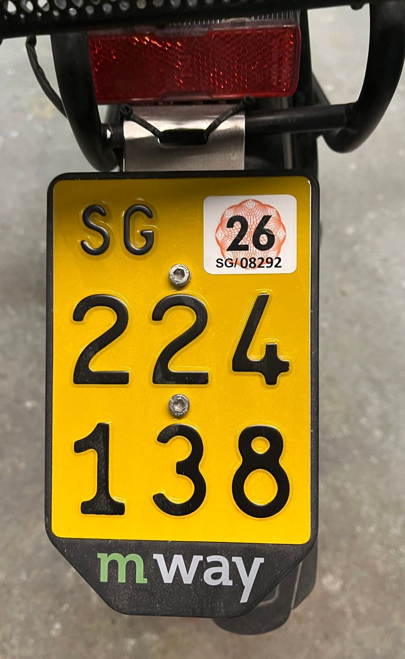 Flyer Biciclette: Flyer Next Generation / Fehler E5 / fast neue Batterie – Difettoso da Degersheim venduto da Chrigo0 6