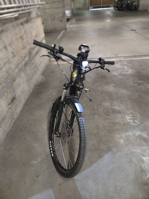 Bergamont Biciclette: Bergamont E-Revox – Usato da Kappel am Albis venduto da binzi88 1